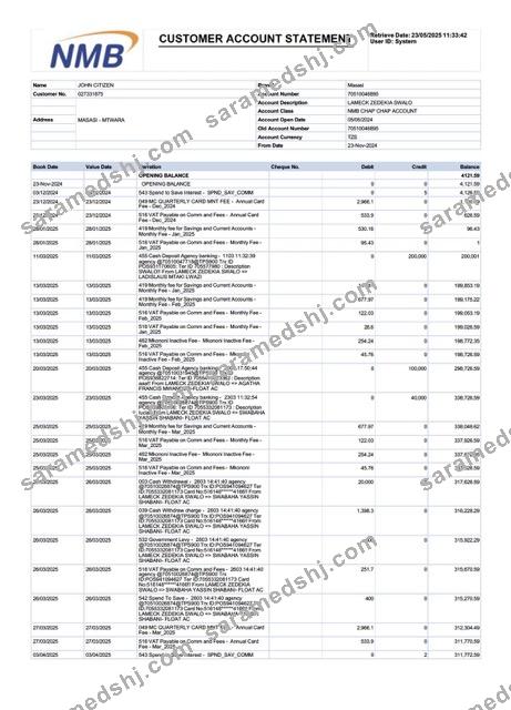 Tanzania NMB Bank account statement Word and PDF template